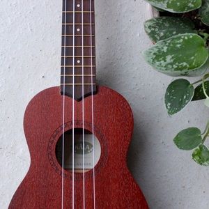 🎶UKULELE🎶 Like-New!